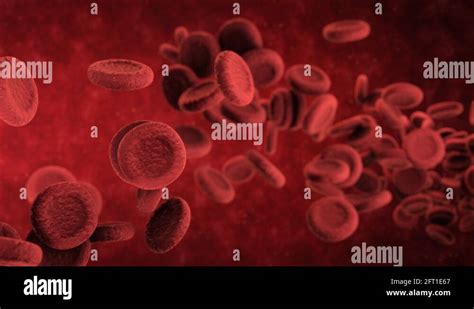 Animated Blood Cells Stock Video Footage - Alamy