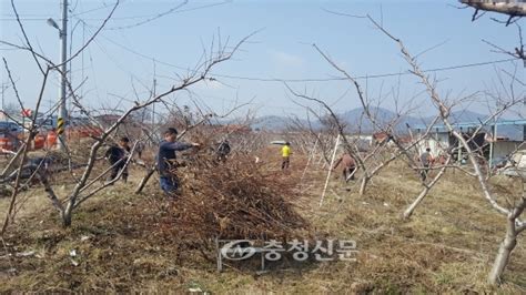 음성군 생극면 주민자치위 생산적 일손봉사로 구슬땀