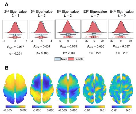 Sex Differences In Eigenvalue Asymmetries A Smoothed Distributions