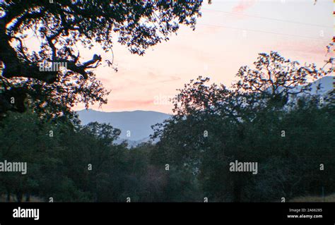 La Sequoia National Forest denominata per gli alberi più grandi del