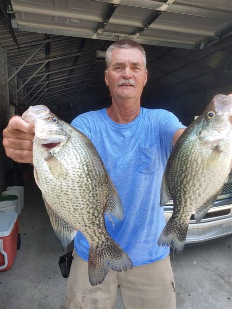 Crappie Fishing Videos 2024 Mira Sybila