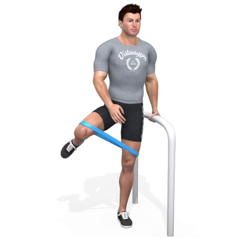 Resistance Band Side Leg Raise Video Exercise Guide