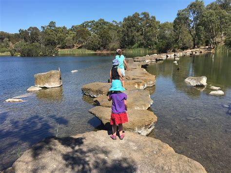 Newport Lakes Reserve Newport Eco Explorers