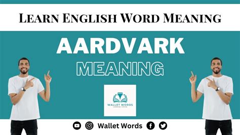 What Is A Aardvark Aardvark Aardvark Meaning In English English