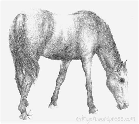 Horse Pencil Drawing | ARTificial INtelligence