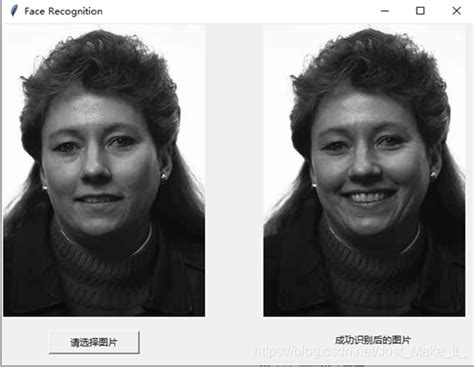 基于pca的人脸识别 Python芳雅葳蕤的博客 Csdn博客pca人脸识别python
