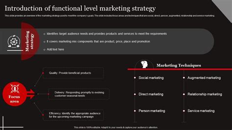 W46 Functional Level Strategy Introduction Of Functional Level Marketing Strategy Ss Ppt Example