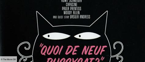 Quoi De Neuf Pussycat De Clive Donner Synopsis Casting