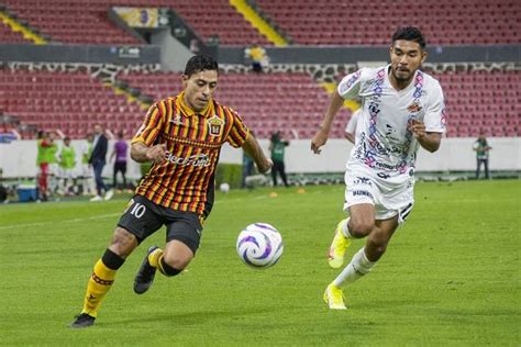 Nh N Nh Soi K O Alebrijes De Oaxaca V I Leones Negros H Ng Y