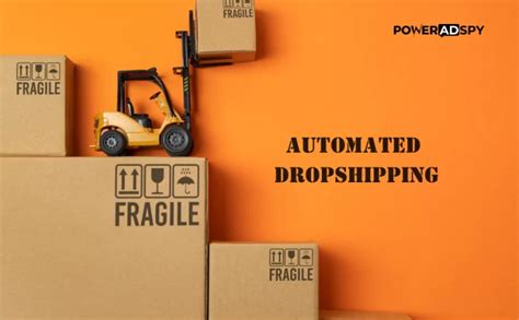 Everything You Need To Know Automated Dropshipping Insights