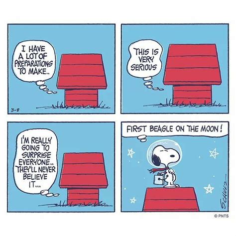 Pin By Henry Garcia On Snoopy Snoopy Cartoon Snoopy Funny Snoopy Comics