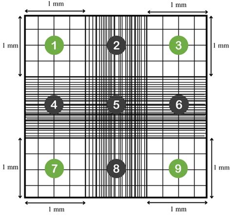 Conteo Celular De Microalgas Paso A Paso Cognita Conecta