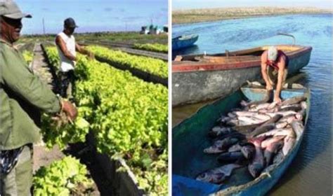 Pesca y Agricultura serán los sectores que impulsarán la economía