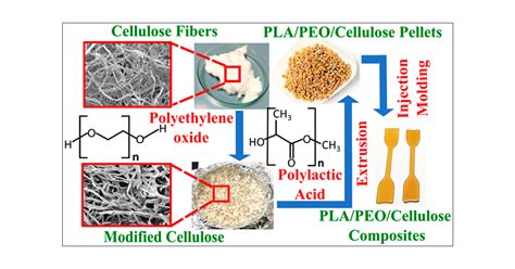 Polylactic Acid Applications