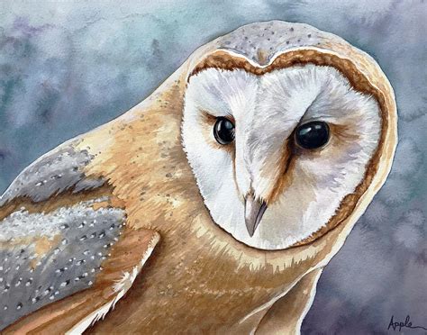 Barn Owl Watercolor Painting Painting By Linda Apple Fine Art America