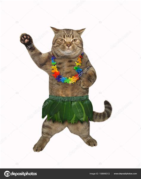 Cat and Hawaii 1 — Stock Photo © Iridi #158848312