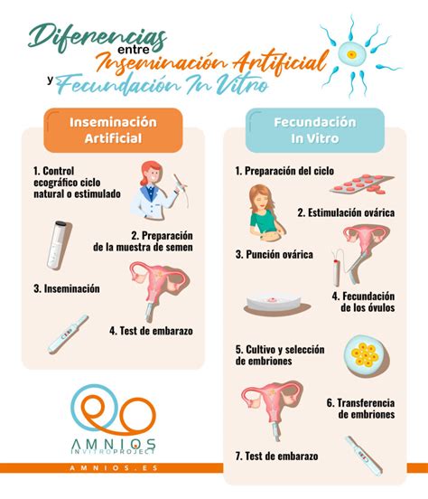 Conoce Las Diferencias Entre La Fecundación In Vitro Y La Inseminación