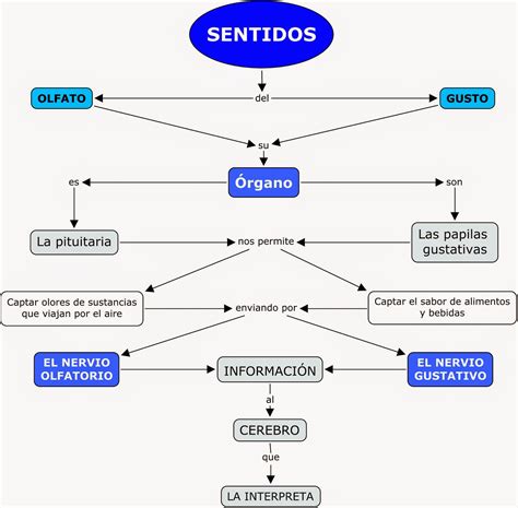 Tercero de Casal Carrillo: Mapa conceptual del gusto y olfato