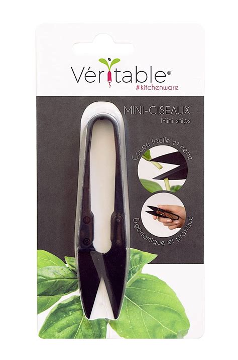 Mini-Snips | Cloud-Hidden Plants - A Unique Plant Store in North Beach ...