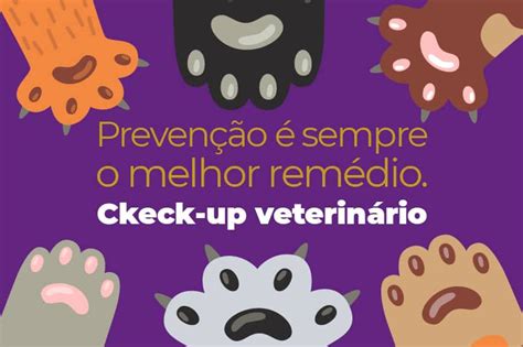 Quando Fazer Um Check Up Veterinário No Pet