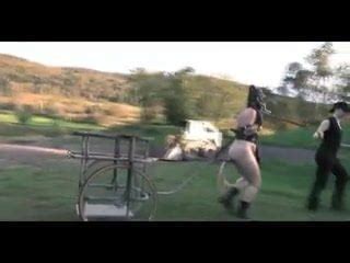 Ponyslave Pervert Bdsm Outdoor Training Porn Xhamster Xhamster
