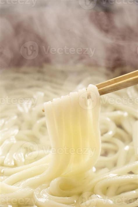 Udon 734000 Stock Photo at Vecteezy