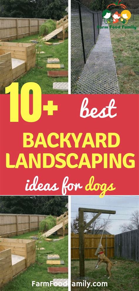 65 Great Dog Friendly Backyard Landscaping Ideas And Designs For 2024