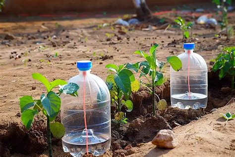 Mantenga Sus Plantas Felices E Hidratadas El Sistema De Riego Por