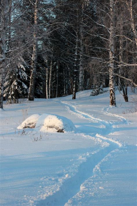 Free Images Landscape Tree Nature Snow Winter Sky Countryside