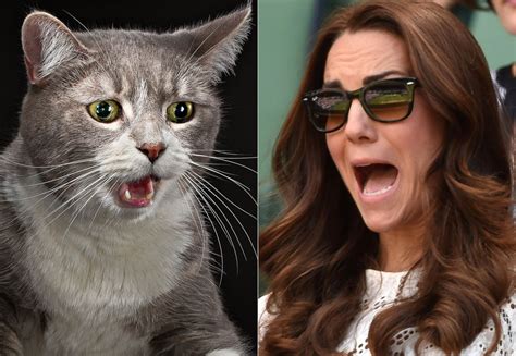 Celebrity Cat Lookalikes Photos Image 5 Abc News