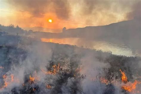 Highland Forest S Wildfire Devastation Laid Bare In Stark Images A Year