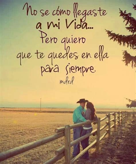 Imagenes De Amor Tiernas Con Frases Bonitas