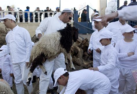 Members Of The Samaritan Sect In Israel Skewer Sheep For The Traditional Passover Ceremony In