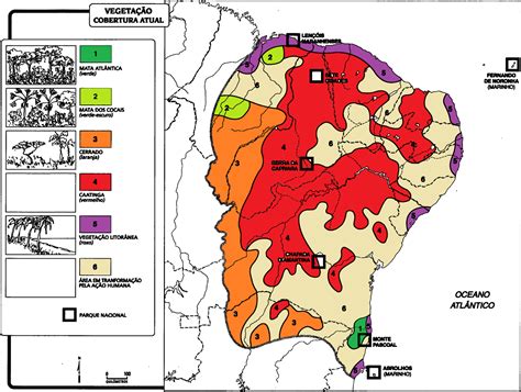 Geografia Fundamental Atividade 7 Ano Região Nordeste Aspectos