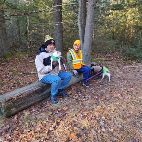 Best Views Trails In Epping Alltrails