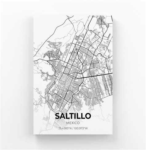 Saltillo Mexico Map