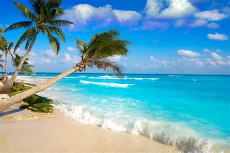 Best Playa Del Carmen Beaches In Island Life Mexico