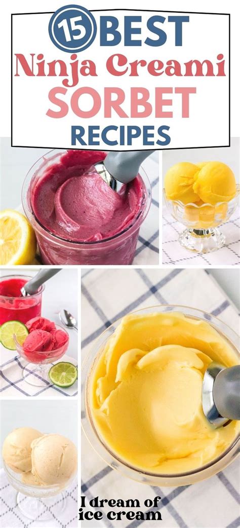 Best Ninja Creami Sorbet Recipes You Need To Try I Dream Of Ice