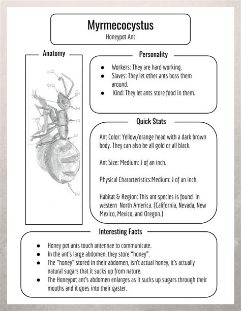 Identification Chart of a Type of Ant - Changing The Subject