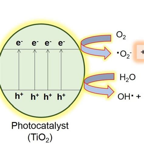 Schematic Diagram Of Photocatalysis Mechanism Using TiO2 As