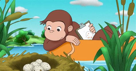 Curious George Curious Georges Egg Hunt Season 7 Episode 5 Pbs