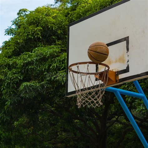 Basketball and rim stock image. Image of score, nylon, coloured - 229619