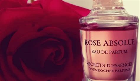 Rose Absolue By Yves Rocher Review