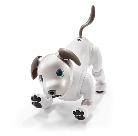 Sony Goes Back To The 1990s With New Aibo Robotic Dog Toy Japan Trends