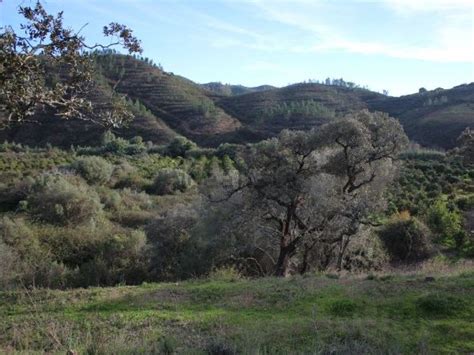 Terreno à venda em Alferce Monchique idealista