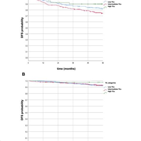 A Kaplan Meier Analysis Of Dfs According To Stil Categories Hr Download Scientific Diagram