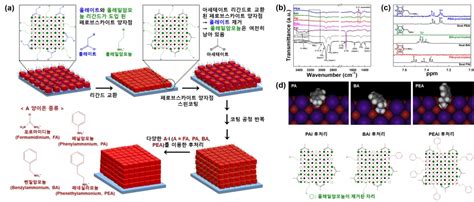 성능과 안정성 높인 신개념 페로브스카이트 양자점 태양전지 개발