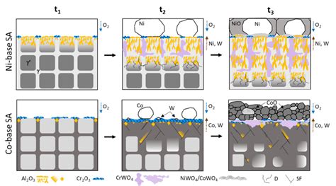 Proposed Oxidation Mechanism For Ni And Co Base Sa During Early