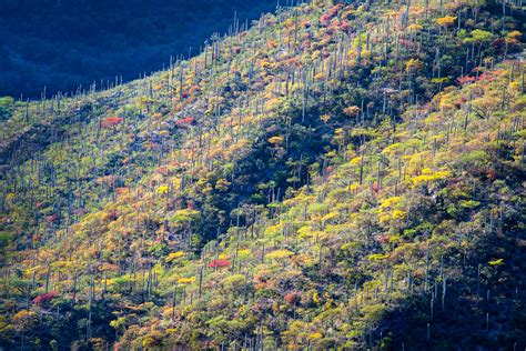 Landscapes of Mexico on Behance