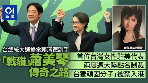 蕭美琴是誰？首名被大陸兩次點名制裁｢台獨頑固分子｣ 被禁入香港